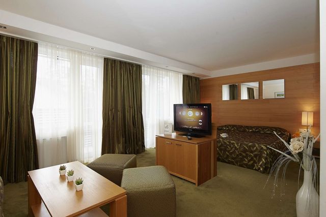 Hotel Festa Chamkoria - Junior suite